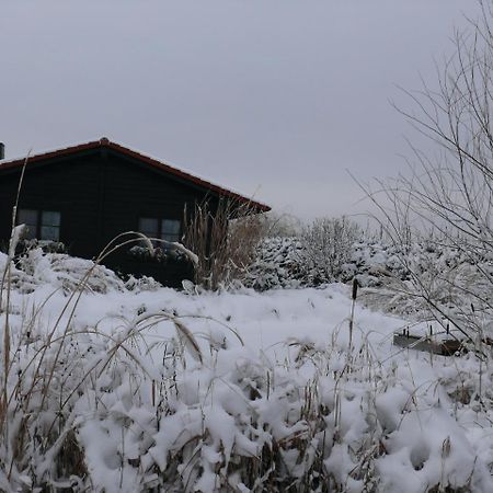 Ferienhaus Hohenlubast Grafenhainichen Bagian luar foto