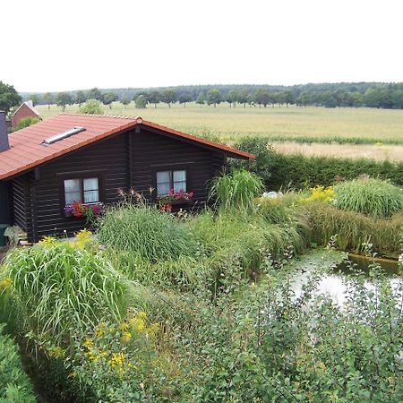 Ferienhaus Hohenlubast Grafenhainichen Bagian luar foto